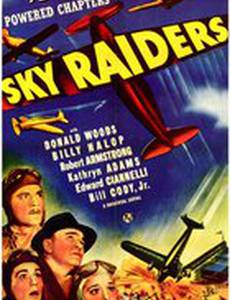 Sky Raiders