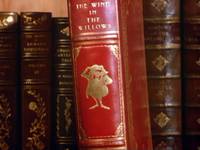 Кадр Приключения Икабода и мистера Тоада