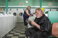 Кадр Прогулка по лесам