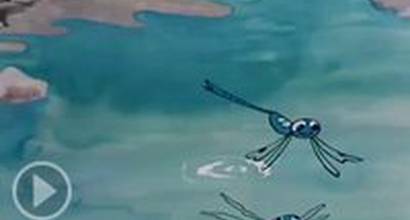 Мультфильм 