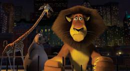 Кадр из фильма "Мадагаскар" - 2
