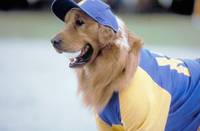 Кадр Король воздуха: Седьмая подача (видео)