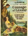 Постер из фильма "Храбрость Лесси" - 1