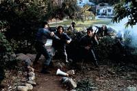 Кадр Газонокосильщик