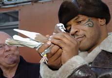 Майк Тайсон и говорящий голубь станут героями мультсериала