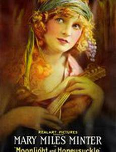 Moonlight and Honeysuckle