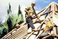 Кадр Берег москитов