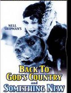 Что-то новое