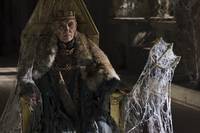 Кадр Мерлин