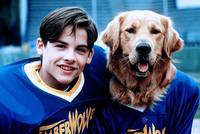 Кадр Король воздуха: Золотая лига