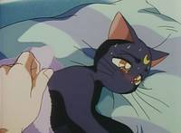 Кадр Красавица-воин Сейлор Мун Эс