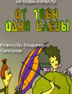 От тебя одни слезы