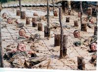 Кадр Сильмидо