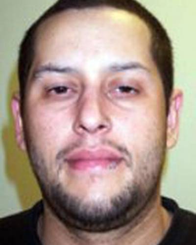 Пол Грэй фото