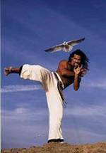 Т.Дж. Сторм фото