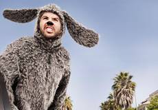 «Уилфреда» продлили на четвертый сезон