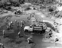 Кадр Лихорадка приходит в Эль-Пао