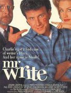 Мистер писатель