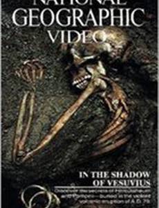 В тени Везувия