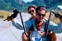 Кадр Дикая орхидея