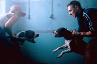 Кадр Аляска