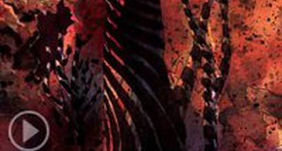 Мультфильм