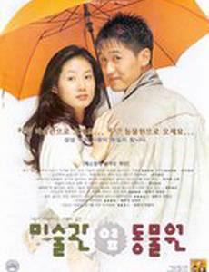 Между музеем искусств и зоопарком