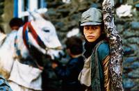 Кадр Время пьяных лошадей