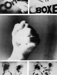 Боксёрский матч