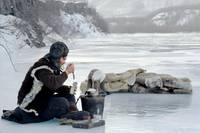 Кадр Территория