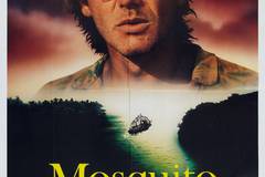 Берег москитов