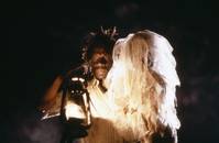 Кадр Змей и радуга