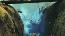 Кадр из фильма "38-я параллель" - 1