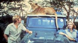 Кадр из фильма "Рожденная свободной" - 2