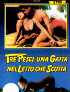Tre pesci, una gatta nel letto che scotta