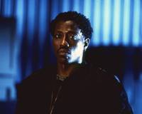 Кадр Девять жизней