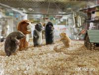 Кадр Миссия Дарвина