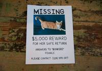 Кадр Раз, Миссисипи