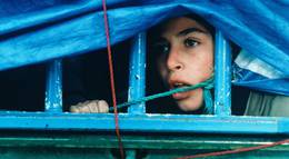 Кадр из фильма "Время пьяных лошадей" - 2