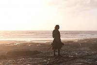 Кадр Железный рыцарь