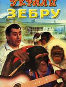 Украли зебру