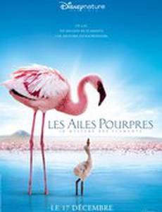 Пурпурные крылья: Тайна фламинго