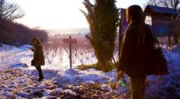 Кадр из фильма "День всех святых" - 1