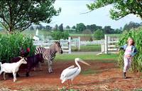 Кадр Бешеные скачки