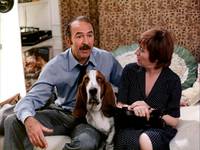 Кадр Беги за мной, чтобы я тебя поймала