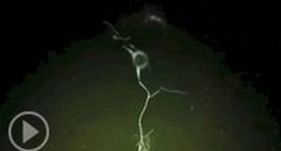 Международный трейлер