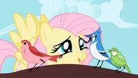 Кадр Мой маленький пони: Дружба – это чудо