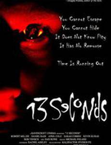 13 секунд (видео)