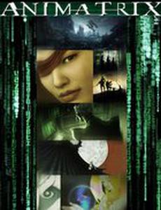 Аниматрица: Мировой рекорд