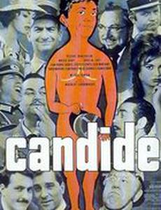 Кандид или оптимизм